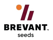 buy brevant brand seed