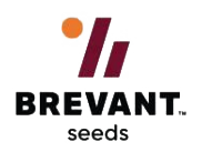 buy brevant brand seed